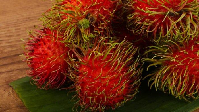 ilustrasi buah rambutan, berikut ini manfaat konsumsi buah rambutan untuk kesehatan