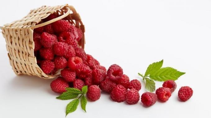 raspberry 2