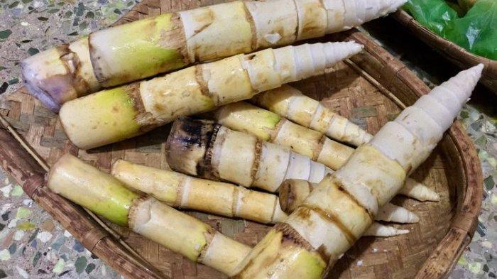 khasiat tersembunyi rebung bambu untuk kesehatan