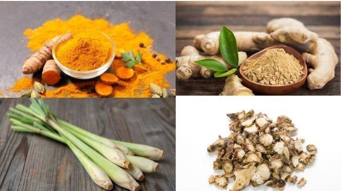 Ilustrasi rampah dan obat herbal