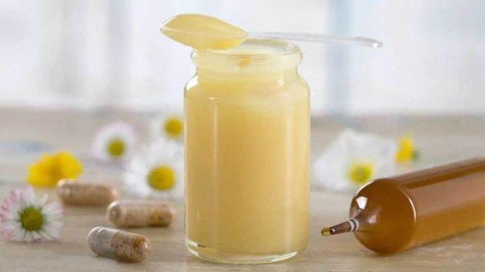 manfaat royal jelly untuk kesehatan
