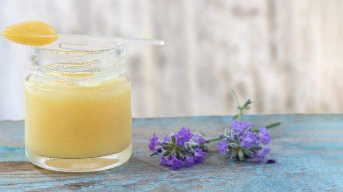 manfaat royal jelly untuk kesehatan