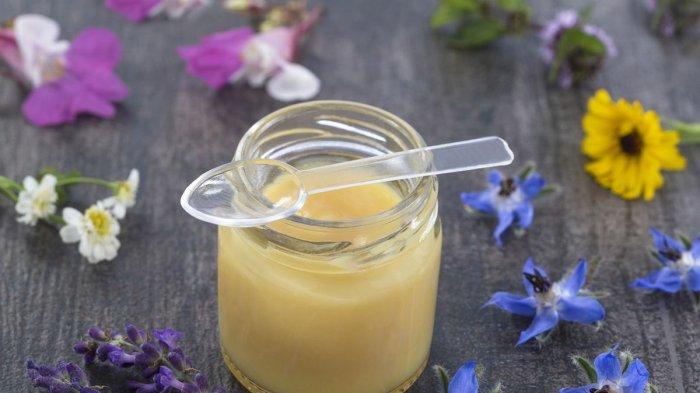 manfaat royal jelly untuk kesehatan