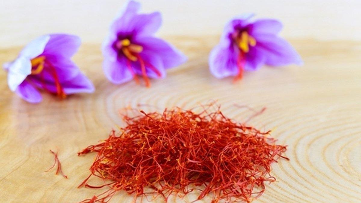 manfaat saffron untuk kesehatan