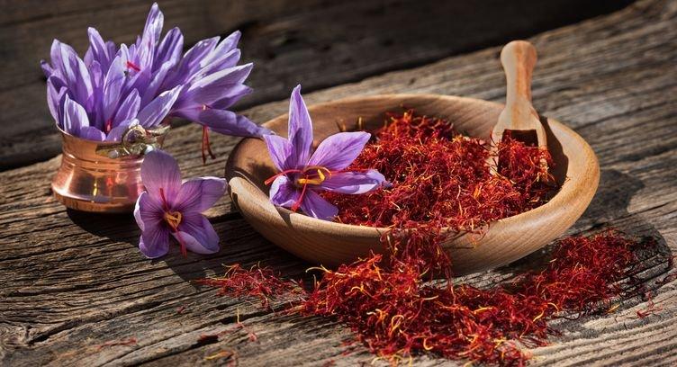 ilustrasi saffron, bagus untuk menurunkan tekanan darah
