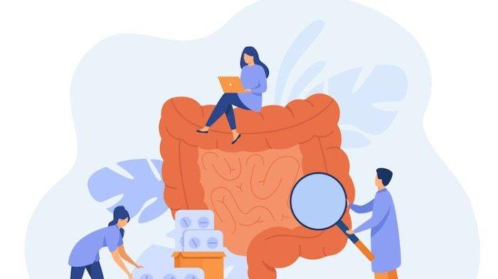 ilustrasi kesehatan saluran pencernaan