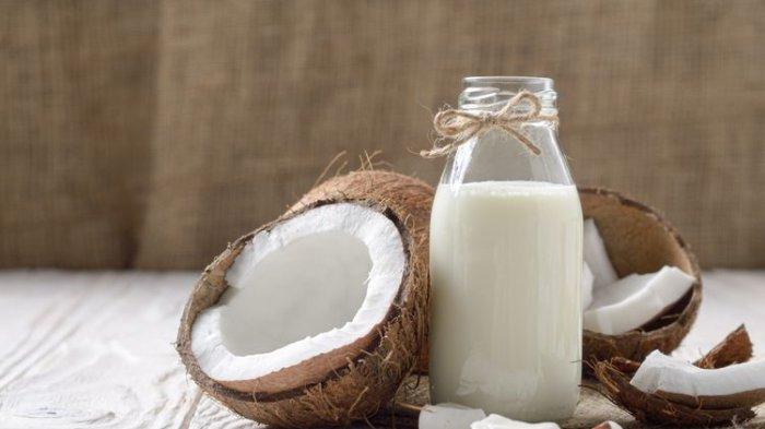 ilustrasi santan kelapa, salah satu susu alternatif yang baik dikonsumsi penderita diabetes