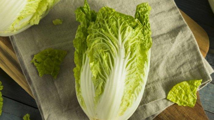 manfaat sawi putih untuk kesehatan tubuh