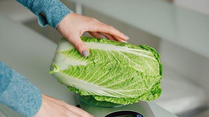 manfaat sawi putih untuk kesehatan