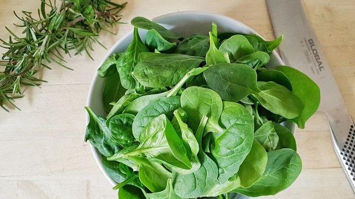 ilustrasi sayur bayam, berikut efek positif yang didapat tubuh usai konsumsi bayam