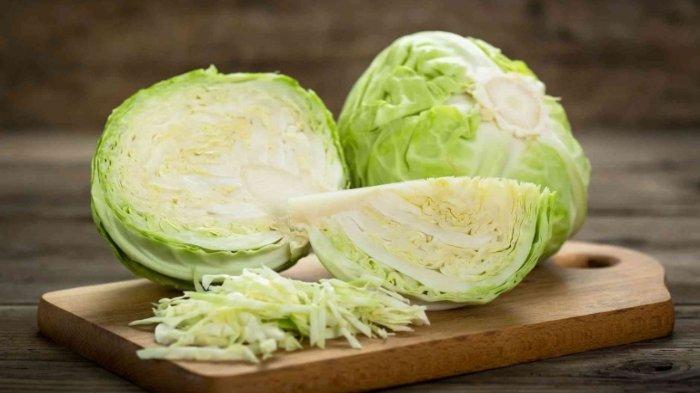 Ilsutrasi sayur kol, berikut ini manfaat sayur kol untuk kesehatan tubuh