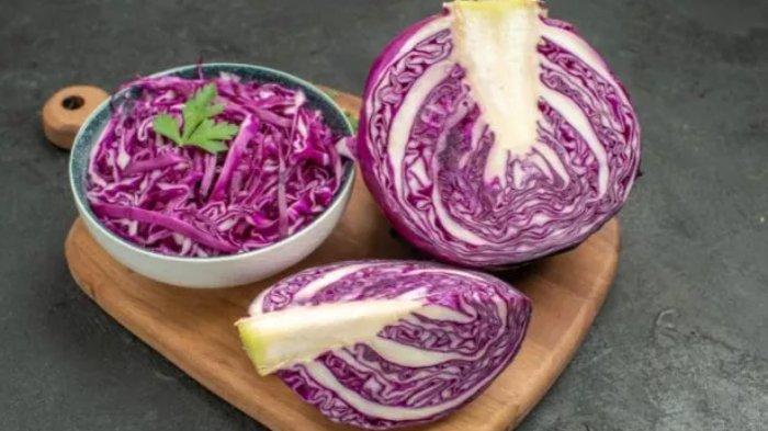 Ilsutrasi sayur kol, berikut ini manfaat sayur kol untuk kesehatan tubuh