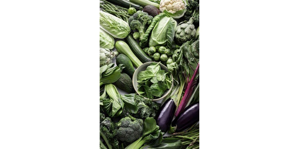 sayur sayuran 9