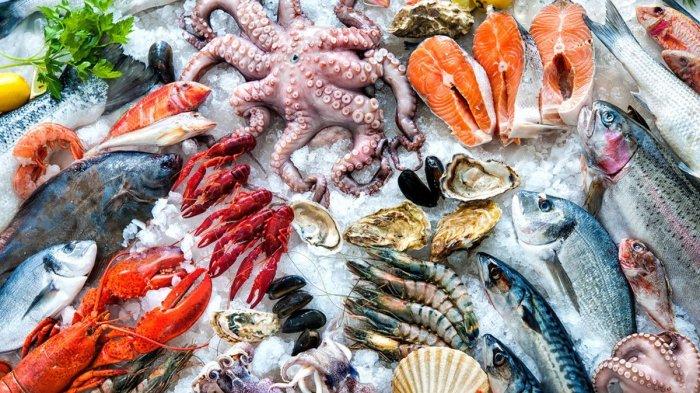 ilustrasi seafood atau makanan laut