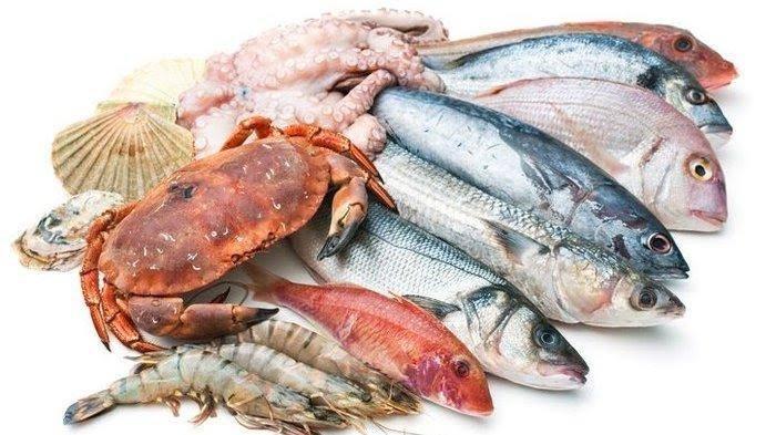 Ilustrasi seafood