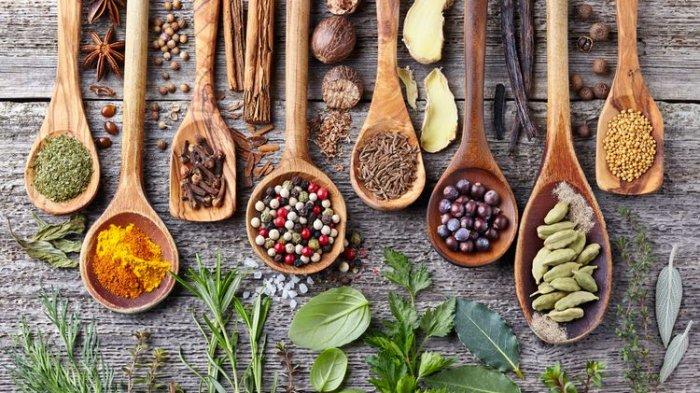 ilustrasi suplemen herbal
