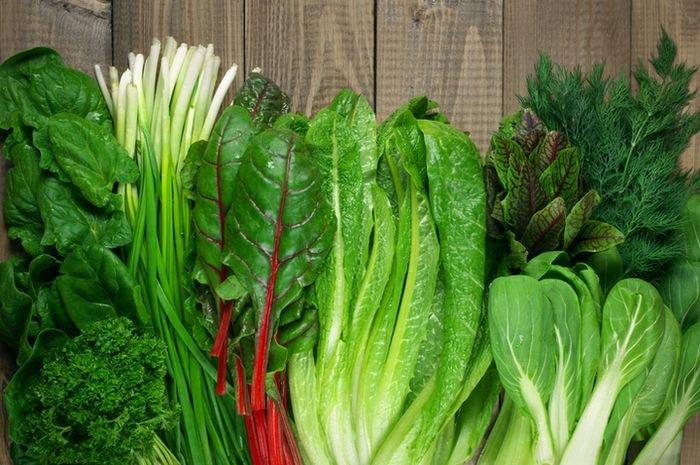 ilustrasi sayur-sayuran hijau yang bermanfaat untuk kesehatan miss V