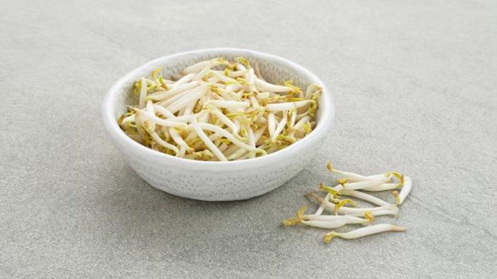 Ilustrasi tauge, bagus untuk kontrol gula daah penderita diabetes