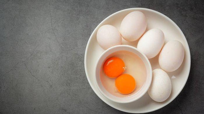 manfaat telur untuk kesehatan