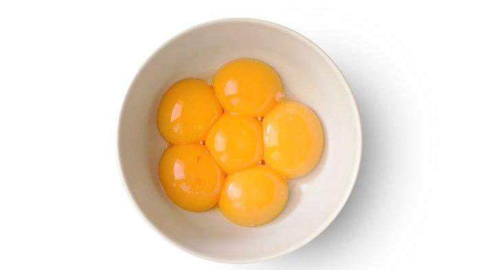 ilustrasi kuning telur