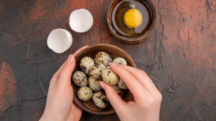 Ilustrasi telur puyuh, berikut manfaat telur puyuh untuk menu MPASI bayi
