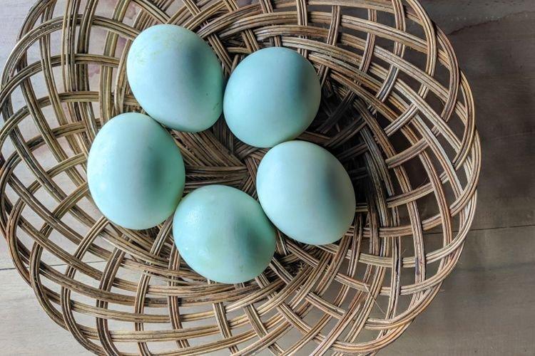 manfaat konsumsi telur asin untuk kesehatan