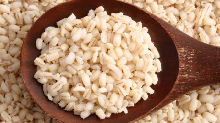 Gandum kategori biji barley, bahan pembuat tepung talbinah.
