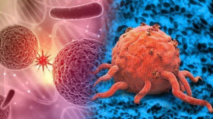 Ilustrasi tumor, begini paparan dr. Upik A. Miskad, PhD., Sp.PA (K)
