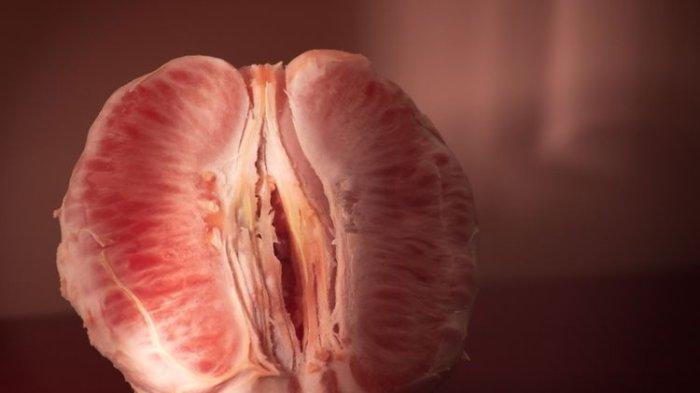 ilustrasi vagina kering, berikut cara untuk mengatasinya