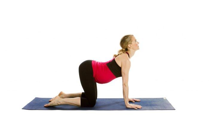 ilustrasi yoga ibu hamil
