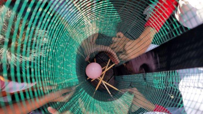 Para siswa mengikuti lomba mengeluarkan bola dari ram kawat dalam rangka memperingati HUT ke-78 Kemerdekaan RI di halaman Darul Hikam Integrated School (DHIS) Primary, Jalan Brigjen Katamso, Kota Bandung, Jawa Barat, Rabu (16/8/2023).