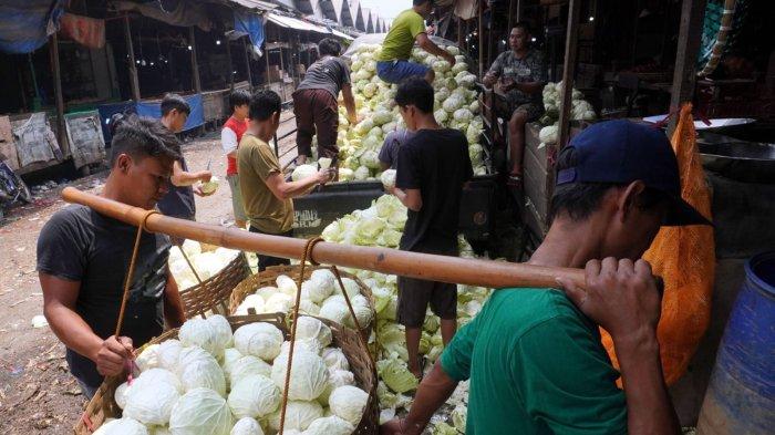 Kuli angkut dan sejumlah pekerja melakukan bongkar muat sayuran kol atau kubis dari mobil pick up di Pasar Induk Caringin, Jalan Soekarno Hatta, Kota Bandung, Jawa Barat, Selasa (31/10/2023).