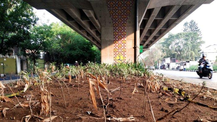 Pengguna jalan melewati taman yang tidak terawat di bawah Jalan Layang / Flyover Kopo, Kota Bandung, Jawa Barat, Rabu (8/11/2023).