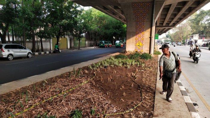 Pengguna jalan melewati taman yang tidak terawat di bawah Jalan Layang / Flyover Kopo, Kota Bandung, Jawa Barat, Rabu (8/11/2023).