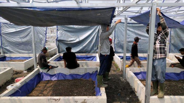 Pekerja memasang terpal di atas biopont yang sudah ada lava maggotnya, di Tempat Pengolahan Sampah Terpadu (TPST) Gedebage, Kota Bandung, Jawa Barat, Senin (6/12/2023).