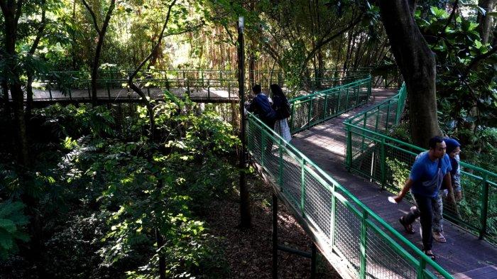 Pengunjung menikmati suasana rindangnya pepohonan di Forest Walk Babakan Siliwangi, Jalan Siliwangi, Kota Bandung, Jawa Barat, Sabtu (20/1/2024).