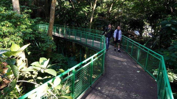 Pengunjung menikmati suasana rindangnya pepohonan di Forest Walk Babakan Siliwangi, Jalan Siliwangi, Kota Bandung, Jawa Barat, Sabtu (20/1/2024).