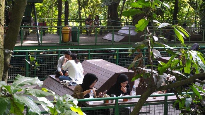 Pengunjung menikmati suasana rindangnya pepohonan di Forest Walk Babakan Siliwangi, Jalan Siliwangi, Kota Bandung, Jawa Barat, Sabtu (20/1/2024).