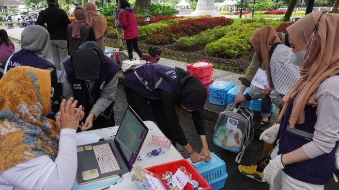 Petugas meregistrasi ulang kucing yang akan disteril pada acara Sterilisasi Kucing Liar Gratis di Taman Dewi Sartika, Kota Bandung, Jawa Barat, Sabtu (16/3/2024).