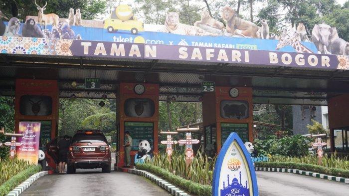 Wisatawan mengunjungi Taman Safari Indonesia (TSI) Cisarua, Kabupaten Bogor, Jawa Barat, Jumat (5/4/2024).