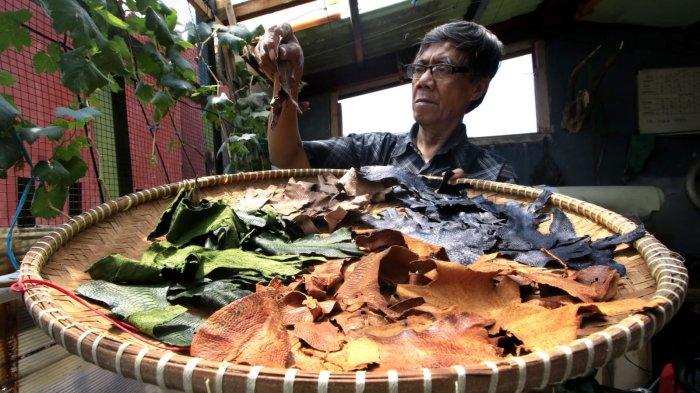 Perajin menjemur kulit kaki (ceker) ayam yang sudah melalui proses pengolahan sebagai bahan baku utama untuk membuat sepatu di rumah produksi Hirka Shoes, Gang Subur, Jalan Mohammad Toha, Kelurahan Cigereleng, Kecamatan Regol, Kota Bandung, Jawa Barat, Selasa (17/12/2024).