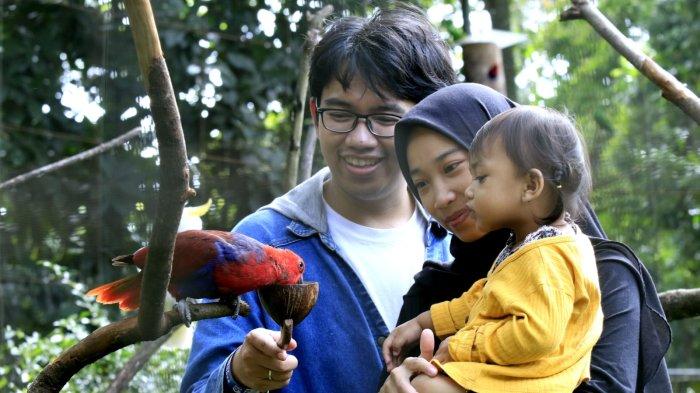 Pengunjung memberi makan burung saat berlibur di Bandung Zoo atau Kebun Binatang Bandung, Jalan Tamansari, Kota Bandung, Jawa Barat, Kamis (26/12/2024).