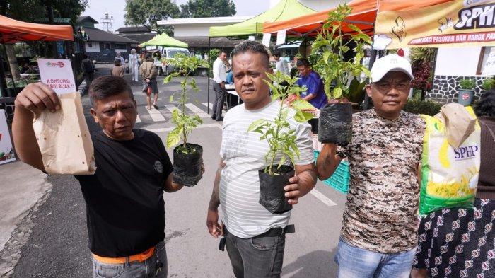 Warga mendapatkan bibit tanaman gratis pada gelaran Stabilisasi Pasokan dan Harga Pangan (SPHP) di halaman Kantor Dinas Ketahanan Pangan dan Pertanian (DKPP) Kota Bandung, Jalan Arjuna, Kota Bandung, Jawa Barat, Rabu (15/1/2025).