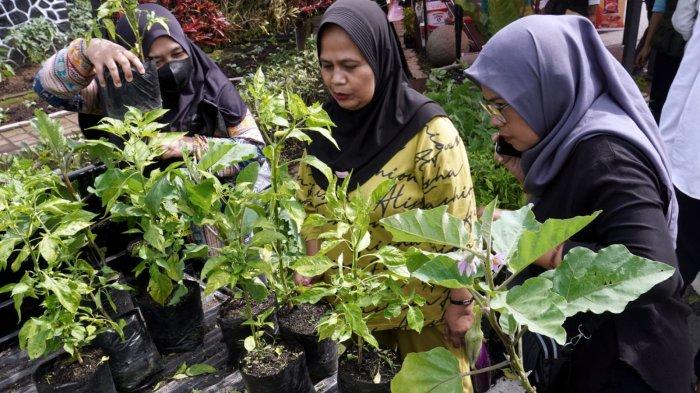 Warga mendapatkan bibit tanaman gratis pada gelaran Stabilisasi Pasokan dan Harga Pangan (SPHP) di halaman Kantor Dinas Ketahanan Pangan dan Pertanian (DKPP) Kota Bandung, Jalan Arjuna, Kota Bandung, Jawa Barat, Rabu (15/1/2025).
