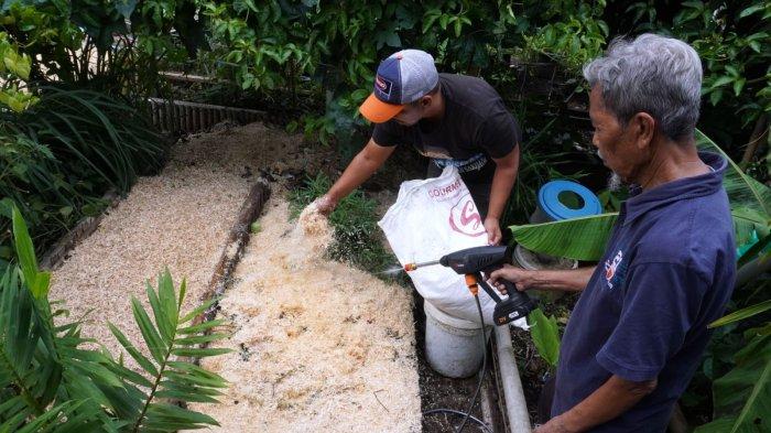 Petugas pengelola sampah Baraya Sabar, Herwin (49) bersama Ketua Seksi Lingkungan dan Pembangunan RW 07, IYat Durachmat (79) melakukan proses pembuatan pupuk padat atau kompos dari sampah organik dicampur serbuk gergaji lalu disemprot dengan mikroorganisme lokal (MOL) di Base Camp Baraya Sabar, RW 07, Kelurahan Sarijadi, Kecamatan Sukasari, Kota Bandung, Jawa Barat, Selasa (4/2/2025).