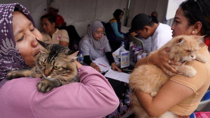 Warga antre memeriksakan kesehatan kucing di stand UPT Klinik Hewan Kota Bandung dalam gelaran Abdi Nagri Nganjang Ka Warga edisi pertama, di halaman Gedung Pakuan, Jalan Otto Iskandardinata, Kota Bandung, Jawa Barat, Sabtu (12/4/2025).