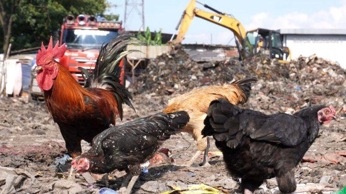 Petugas menggunakan alat berat beko memasukan sampah ke truk di Pasar Gedebage, Jalan Soekarno Hatta, Kota Bandung, Jawa Barat, Selasa (29/4/2025).