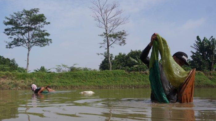 Sejumlah pria berburu cacing sutra di Sungai Citarum, Kabupaten Bandung, Jawa Barat, Senin (19/5/2025).