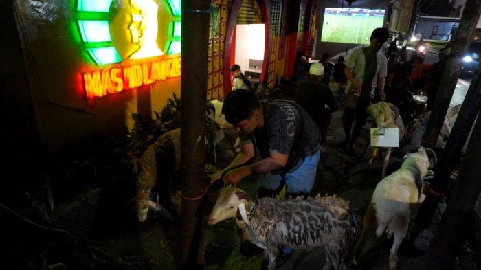 Tim pelaksanaan kurban Iduladha 1446 H mengikat domba kurban di tiang dan yang lainnya berkesempatan nonton bareng Timnas Indonesia melawan China lewat layar lebar, di Masjid Lautze 2, Kota Bandung, Jawa Barat, Kamis (5/6/2025).