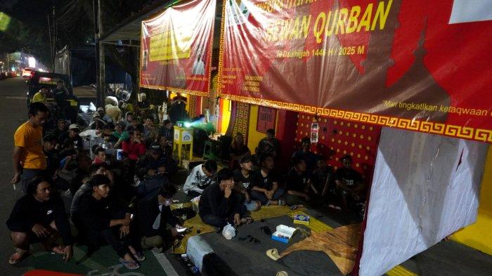 Tim pelaksanaan kurban Iduladha 1446 H berkesempatan nonton bareng Timnas Indonesia melawan China lewat layar lebar sambil menjaga domba kurban, di Masjid Lautze 2, Kota Bandung, Jawa Barat, Kamis (5/6/2025).